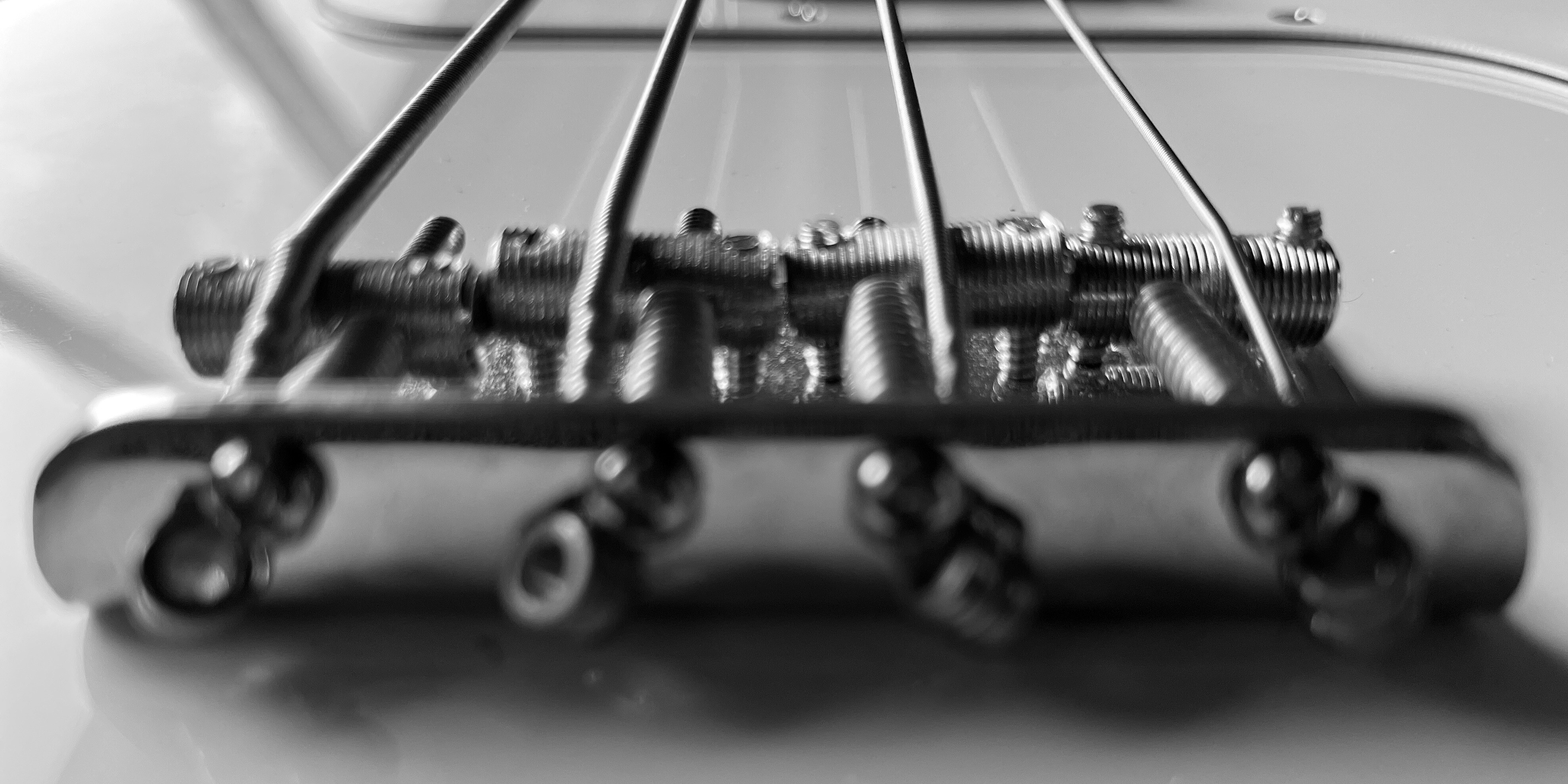 Black and white close-up image taken from the bottom of the bridge of a bass guitar